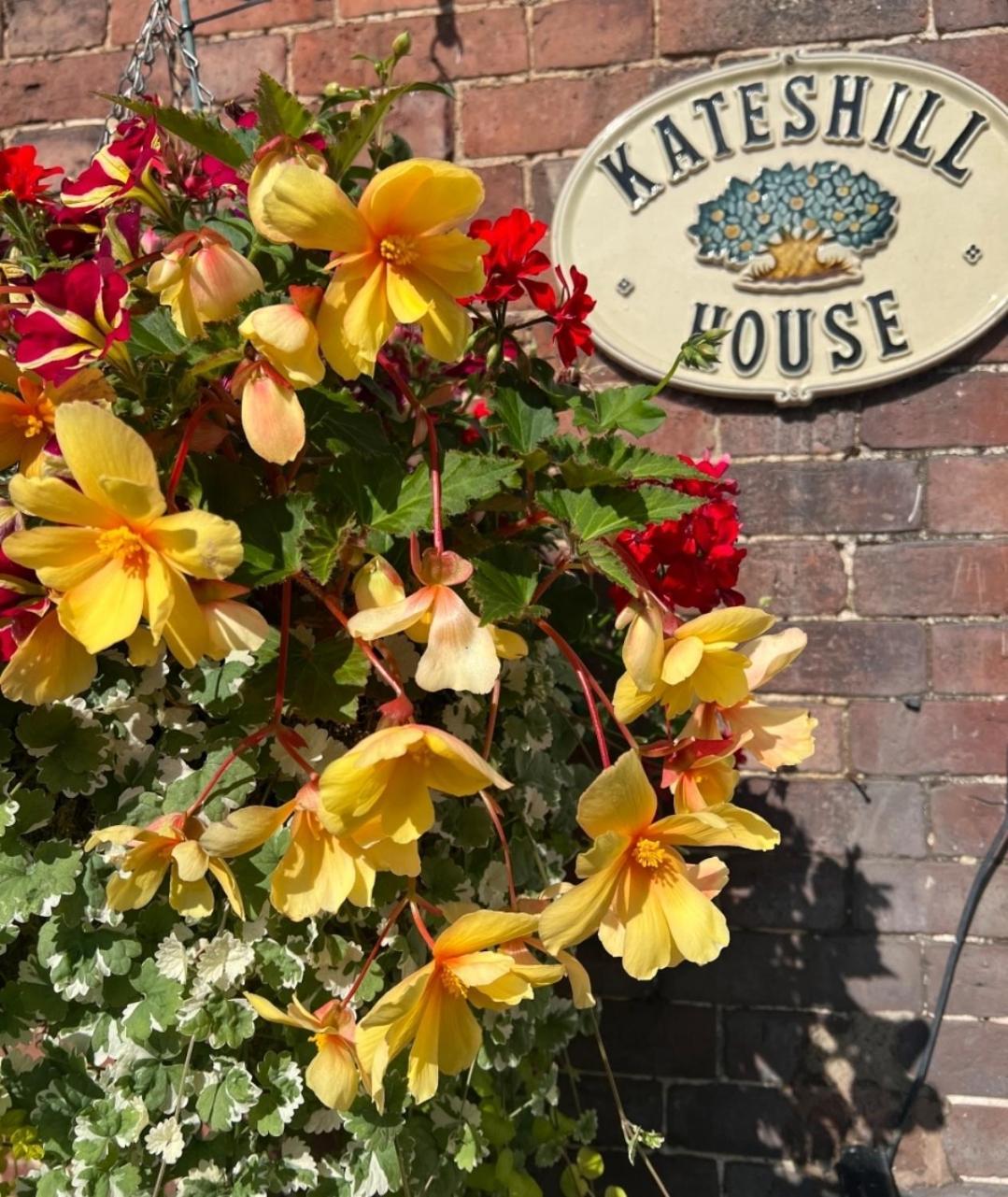 Kateshill House Bed & Breakfast Bewdley Esterno foto